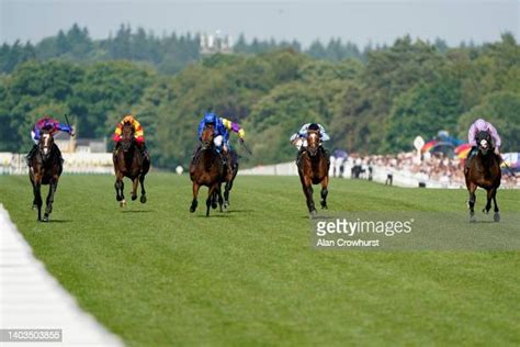 king edward vii stakes trends|Royal Ascot: Changingoftheguard hangs on in King Edward .